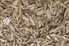 biomass boilers Woodmanton