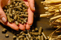 free Woodmanton biomass boiler quotes