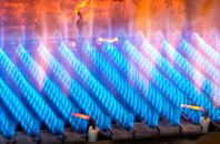 Woodmanton gas fired boilers